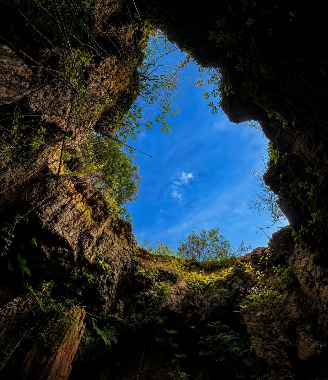 Galería 2